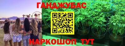 мяу мяу мука Абакан